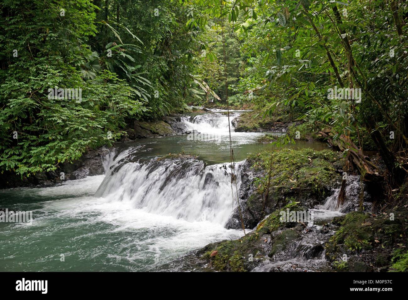 Costa Rica, Halbinsel Osa, kleinen Wasserfall durch einen Fluss in den Nationalpark Corcovado gebildet Stockfoto