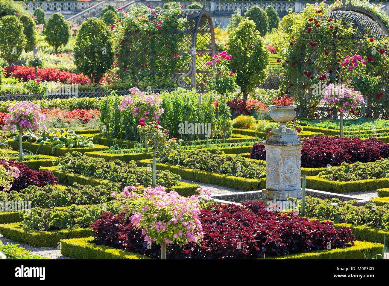 Frankreich, Indre et Loire, Loire-Tal UNESCO Weltkulturerbe, Villandry, Château de Villandry Gärten, Eigentum von Henri und Angelique Carvallo Stockfoto