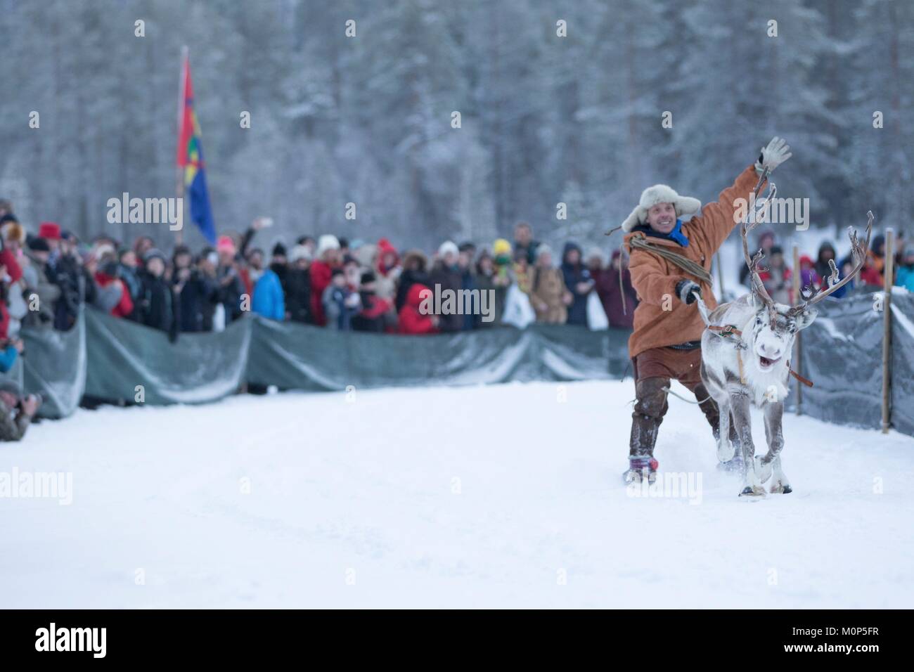 Schweden, Lappland, Region als Weltkulturerbe von der UNESCO, Norrbottens Län aufgeführt, Sami demonstration Turm Gleiten auf Schnee während der jokkmokk Sami rentier Rennen Stockfoto