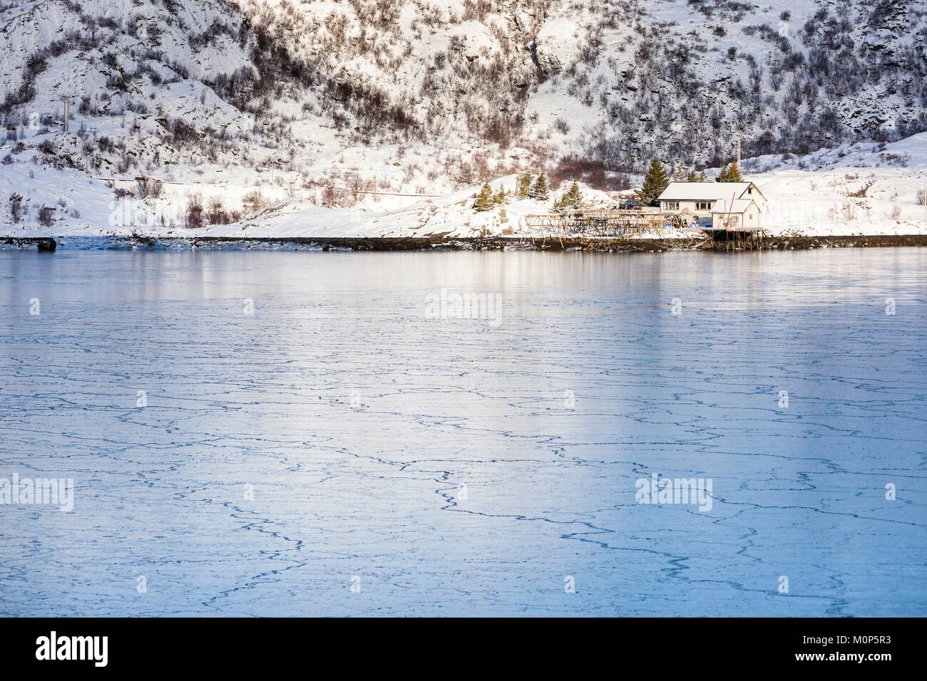 Norwegen, Nordland, Lofoten, gefrorenen See um Flakstad Stockfoto