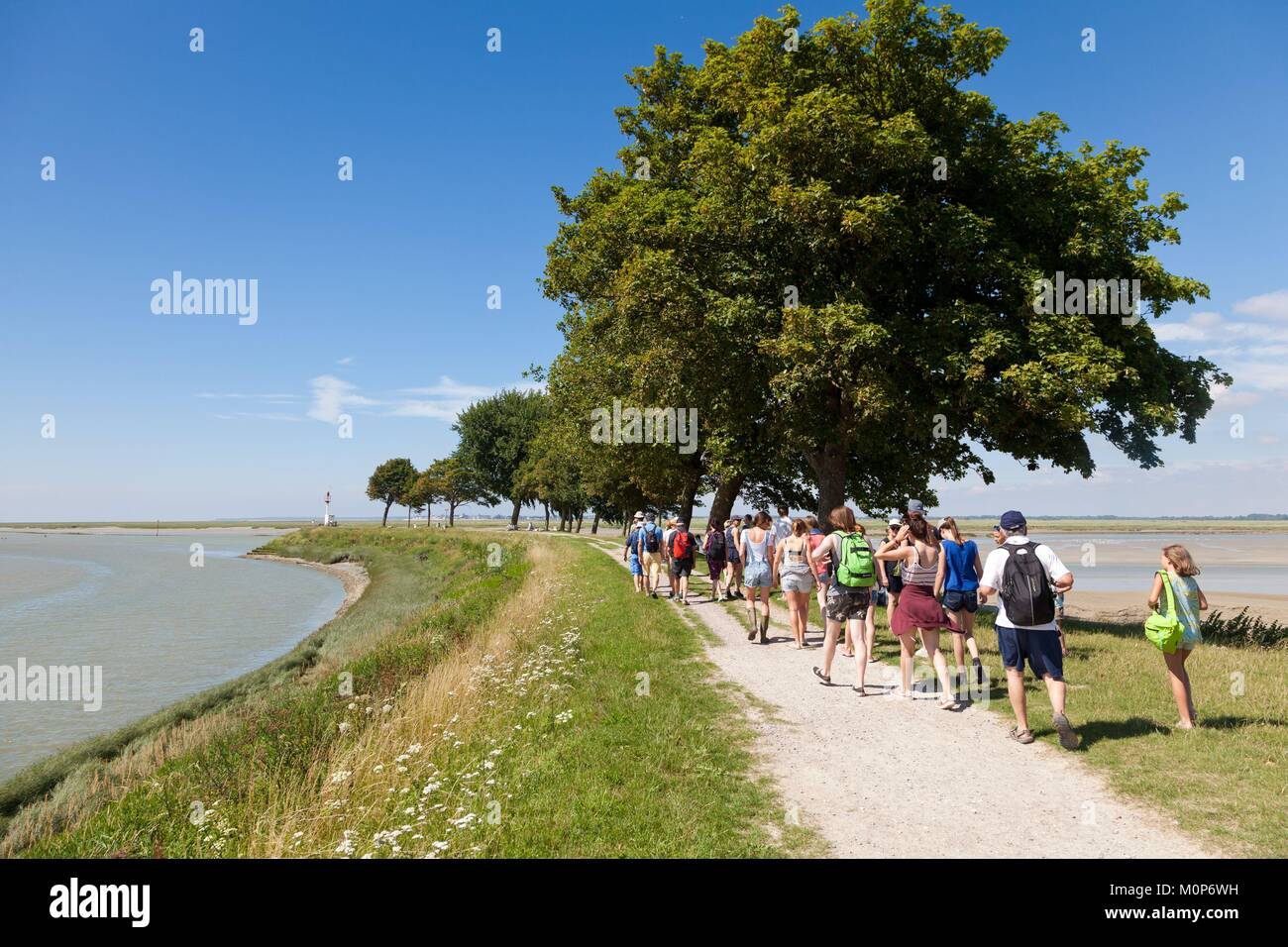 Frankreich, Somme, Baie de Somme, Saint Valery sur Somme, Gruppe von