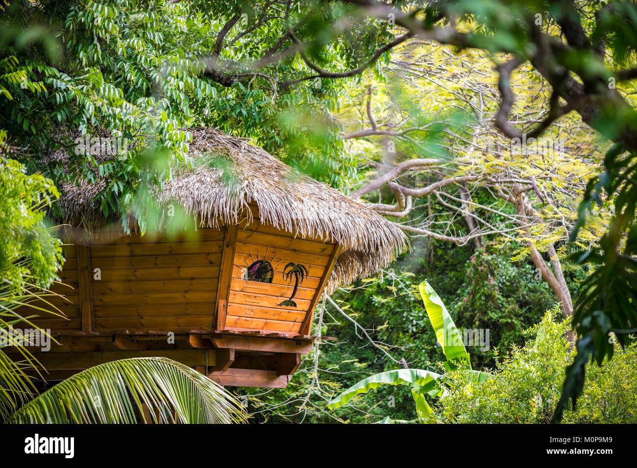 Frankreich, Karibik, Kleine Antillen, Guadeloupe, Basse-Terre, Vieux-Habitants, Zoe Hütte in den Bäumen im Garten der Wohnung Getz gehockt Stockfoto