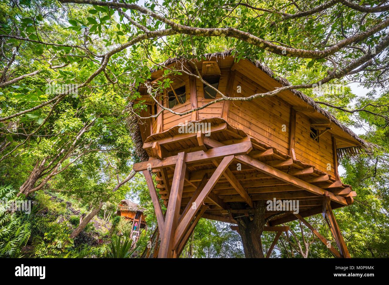 Frankreich, Karibik, Kleine Antillen, Guadeloupe, Basse-Terre, Vieux-Habitants, Zoe Hütte in den Bäumen im Garten der Wohnung Getz gehockt Stockfoto