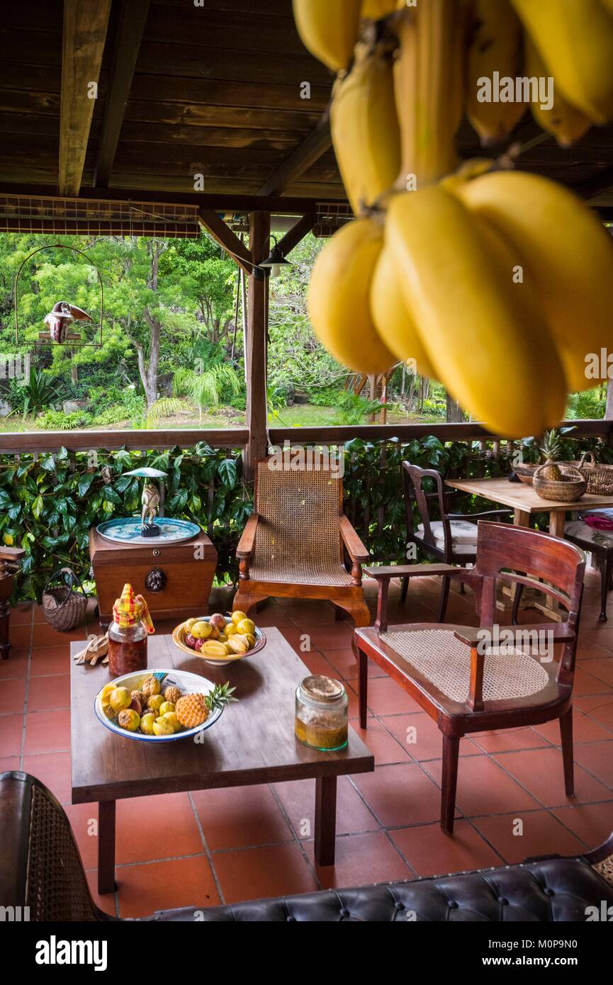 Frankreich, Karibik, Kleine Antillen, Guadeloupe, Basse-Terre, Vieux Habitants, auf den Höhen der Stadt, die Behausung Getz, alten kolonialen Haus umgewandelt in ein Bett und Frühstück, hier die Lounge im Freien auf der Veranda Stockfoto