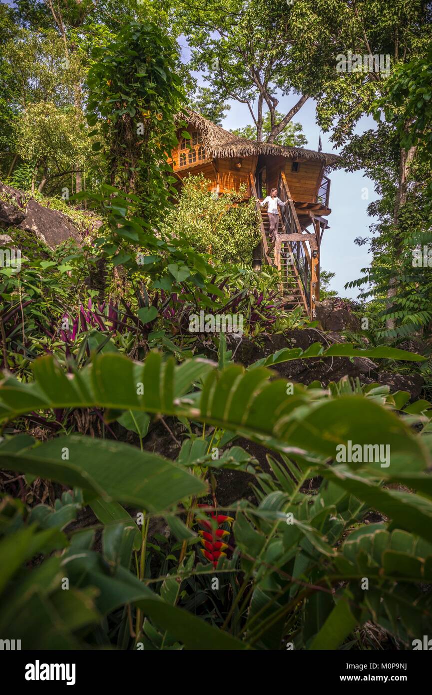 Frankreich, Karibik, Kleine Antillen, Guadeloupe, Basse-Terre, Vieux Habitants, auf den Höhen der Stadt, die Behausung Getz, alten kolonialen Haus umgewandelt in ein Bett und ein Frühstück mit seinen Häusern in den Bäumen, hier der Pirat shack Stockfoto