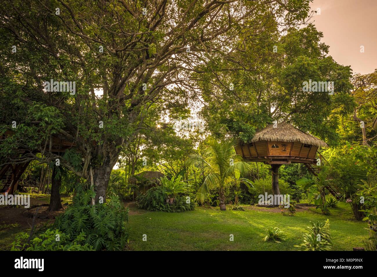 Frankreich, Karibik, Kleine Antillen, Guadeloupe, Basse-Terre, Vieux-Habitants, Zoe Hütte in den Bäumen im Garten der Wohnung Getz gehockt Stockfoto