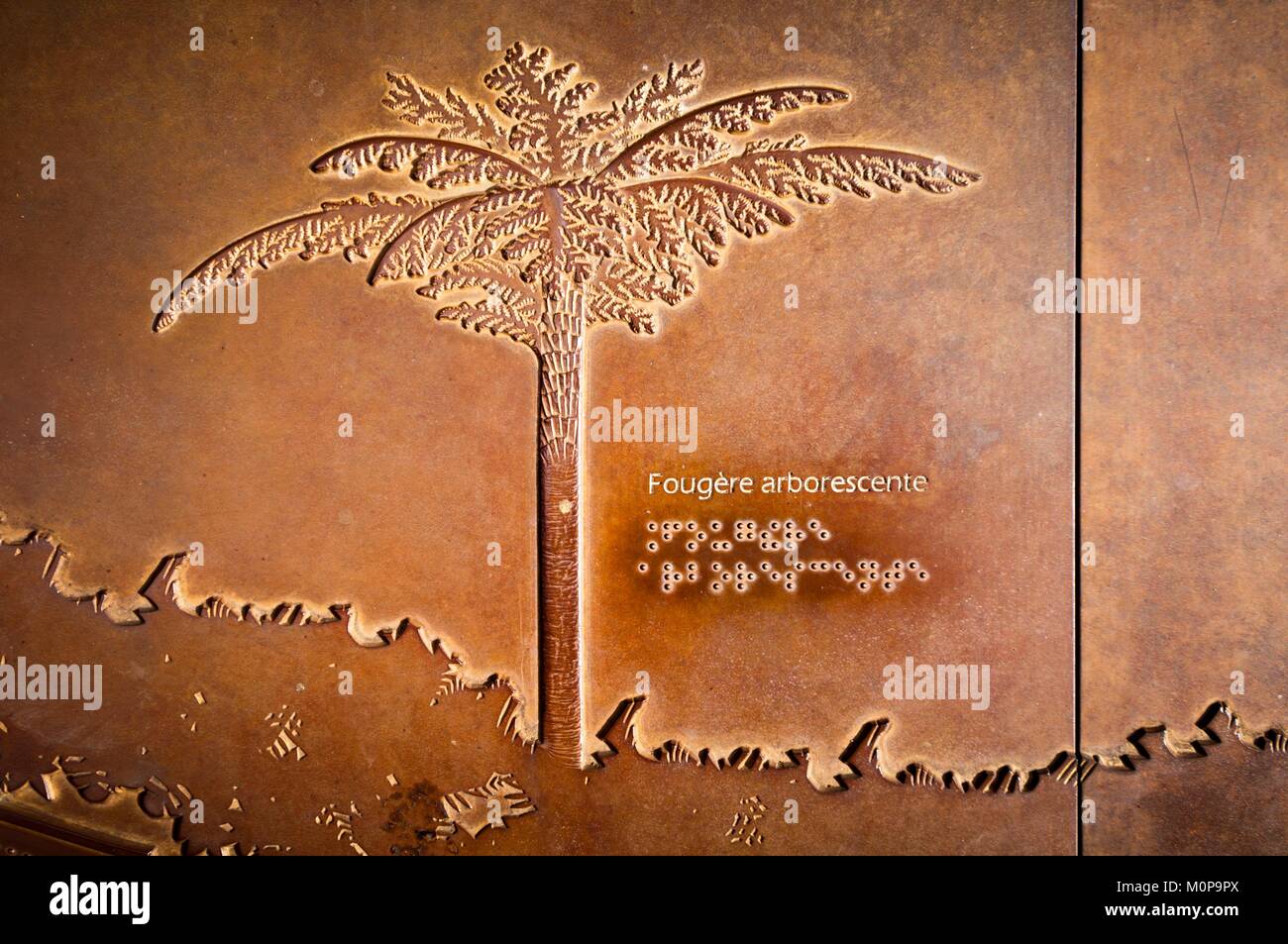 Frankreich, Karibik, Kleine Antillen, Guadeloupe, Basse-Terre, Petit-Bourg, Guadeloupe Nationalpark, auf dem Weg der Cascade aux Ecrevisses, Behindertengerecht, geprägtem Panels mit Bildunterschriften in Blindenschrift Ausstellung bemerkenswerten Arten der Spur, hier ein Farn arborescente Stockfoto