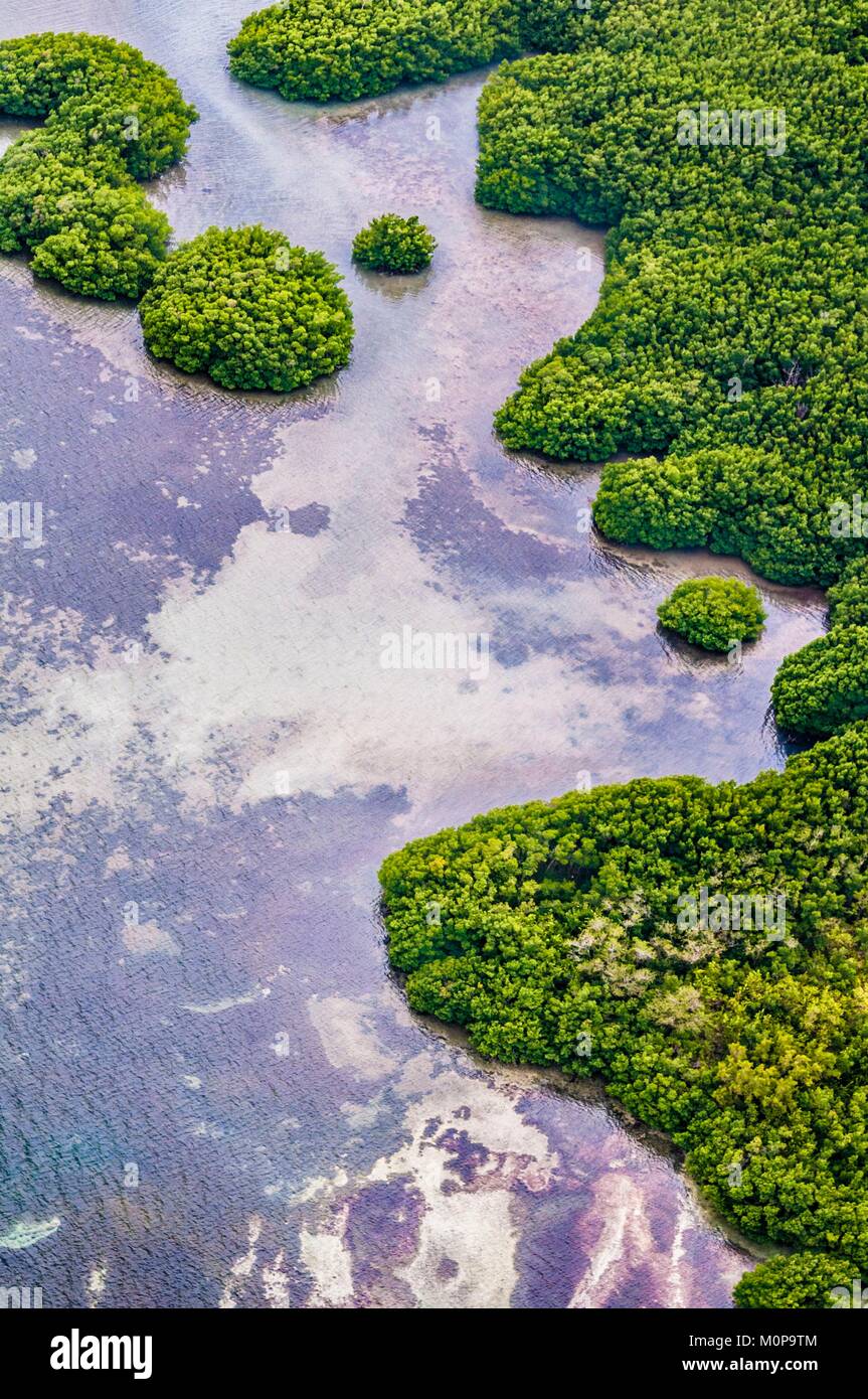 Frankreich, Karibik, Kleine Antillen, Guadeloupe, Guadeloupe Nationalpark, Luftaufnahme von Grand Cul-de-Sac Marin (15000 ha), in der marine Teil durch das längste Korallenriff (25 km) terrestrischen Teils durch den umfassenderen Mangrove Gürtel der Kleinen Antillen begrenzt ist, Hier die Macou Inselchen (Luftbild) Stockfoto