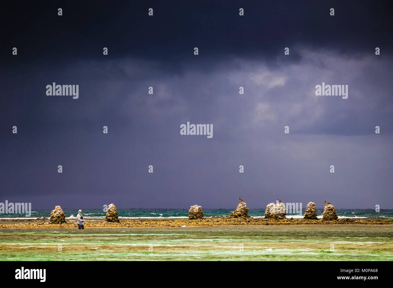 Frankreich, Guadeloupe, Grande-Terre, Sainte Anne, Fischer in der Mitte des braunen Pelikanen auf der Lagune von der städtischen Strand bei stürmischem Wetter können Sie Stockfoto