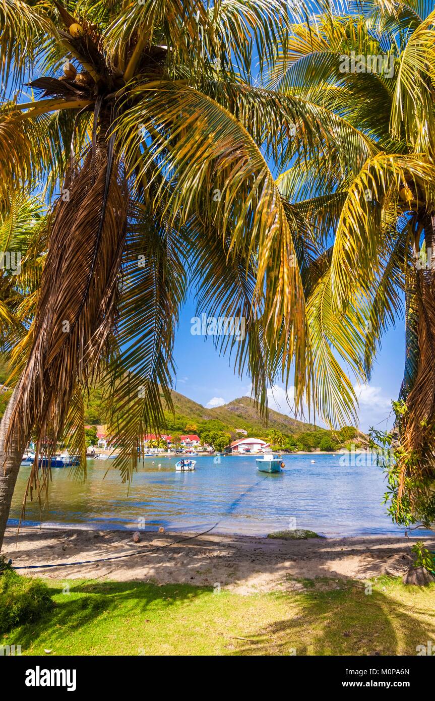 Frankreich, Karibik, Kleine Antillen, Guadeloupe, Les Saintes, Terre-de-Haut, Strand von Marigot Bay zwischen zwei Kokospalmen Stockfoto