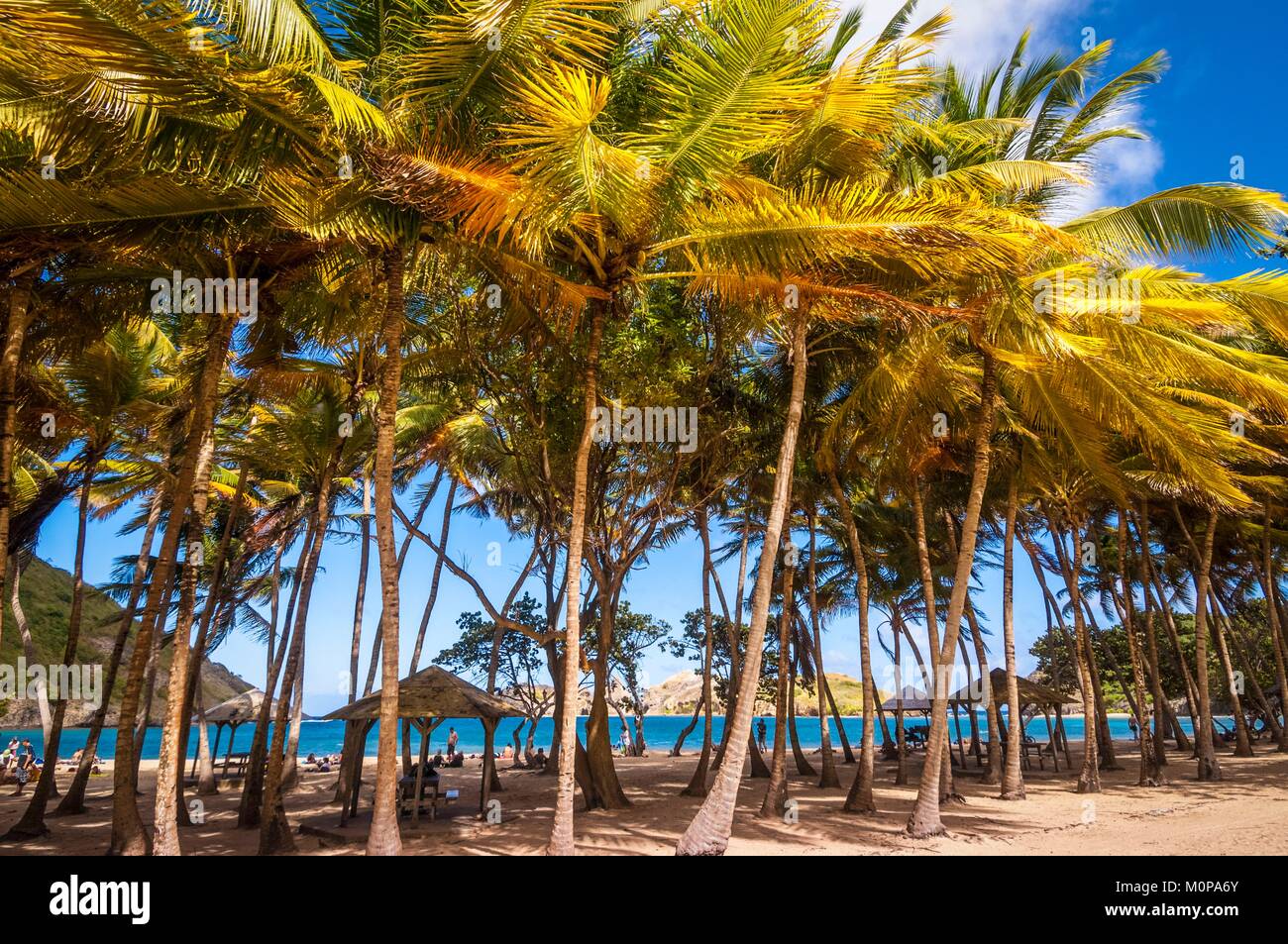 Frankreich, Karibik, Kleine Antillen, Guadeloupe, Les Saintes, Terre-de-Haut, Pompierre Strand Stockfoto