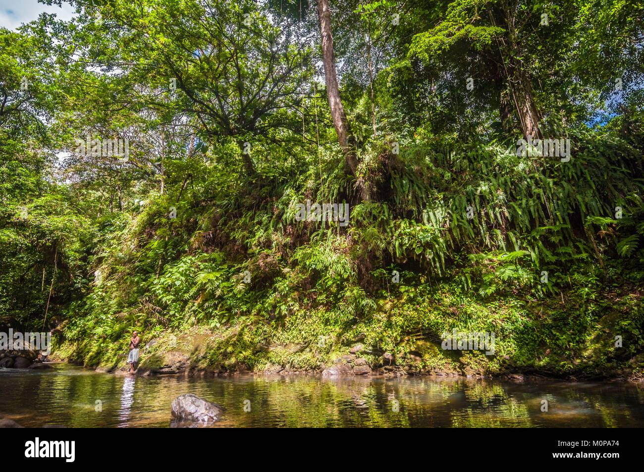 Frankreich, Karibik, Kleine Antillen, Guadeloupe, Basse-Terre, Guadeloupe National Park, ein Mann, der meditiert auf der Bank des Bras-David Fluss unterhalb der Wanderweg des Haus des Waldes Stockfoto