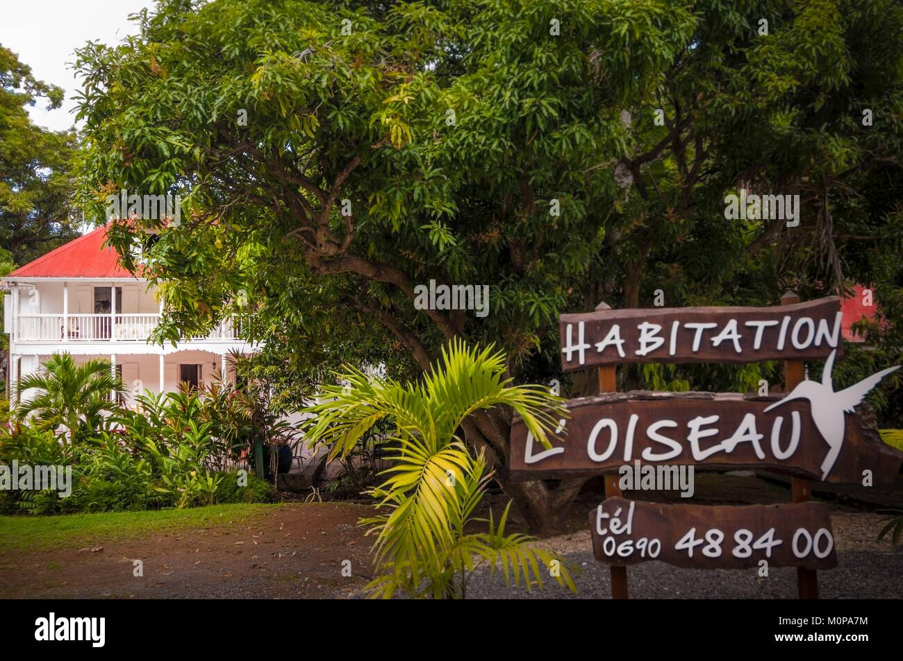 Frankreich, Karibik, Kleine Antillen, Guadeloupe, Basse-Terre, Vieux Habitants, auf den Höhen der Stadt, Wohnen L'Oiseau, altes Haus im Kolonialstil umgewandelt in ein Bett und Frühstück Stockfoto