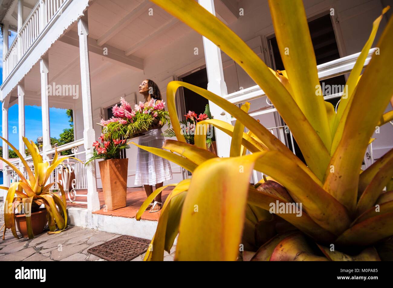 Frankreich, Karibik, Kleine Antillen, Guadeloupe, Basse-Terre, Vieux Habitants, auf den Höhen der Stadt, Wohnen L'Oiseau, altes Haus im Kolonialstil umgewandelt in ein Bett und Frühstück Stockfoto