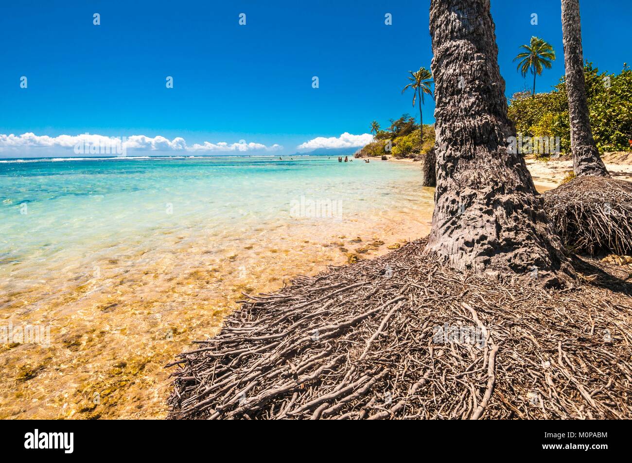 Frankreich, Karibik, Kleine Antillen, Guadeloupe, Grande-Terre, Sainte Anne, Bois Jolan Strand und Lagune Stockfoto