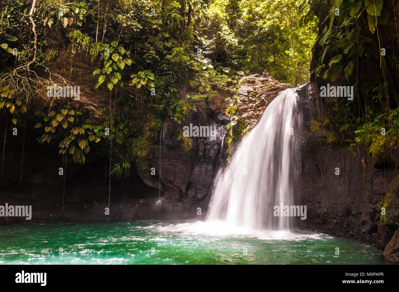 Frankreich, Karibik, Kleine Antillen, Guadeloupe, Basse-Terre, Petit-Bourg, Hauteurs Lézarde, ein Wanderer mit Blick auf den Saut de la Lézarde und sein Becken Stockfoto