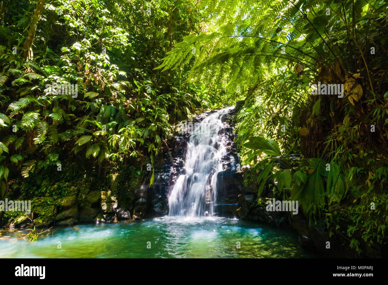 Frankreich, Guadeloupe, Basse-Terre, Petit-Bourg, Kaskade der Blumen- und Tierpark von Valombreuse Stockfoto