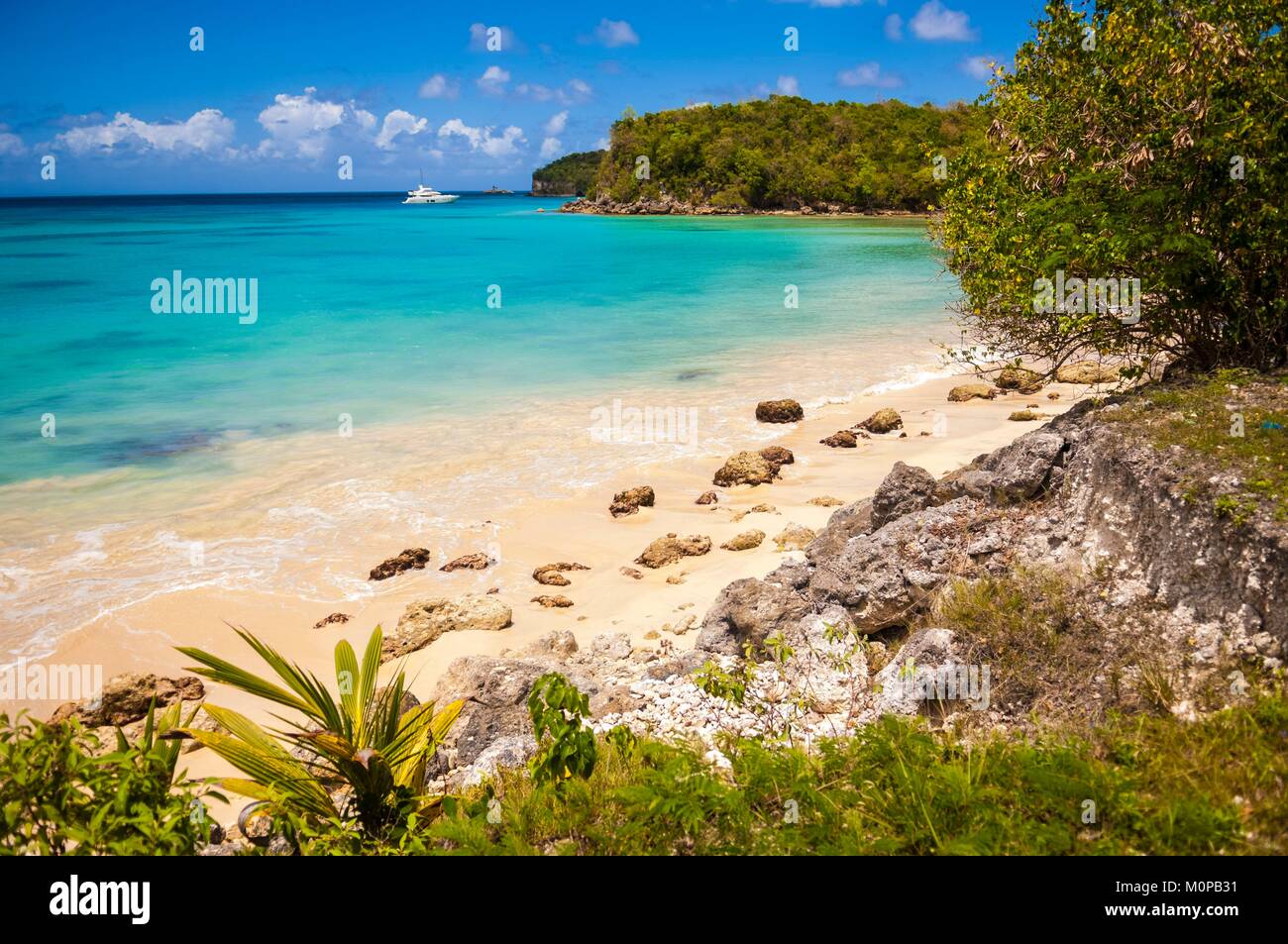 Frankreich, Karibik, Kleine Antillen, Guadeloupe, Guadeloupe, Marie-Galante, Saint-Louis, Moustique Strand Stockfoto