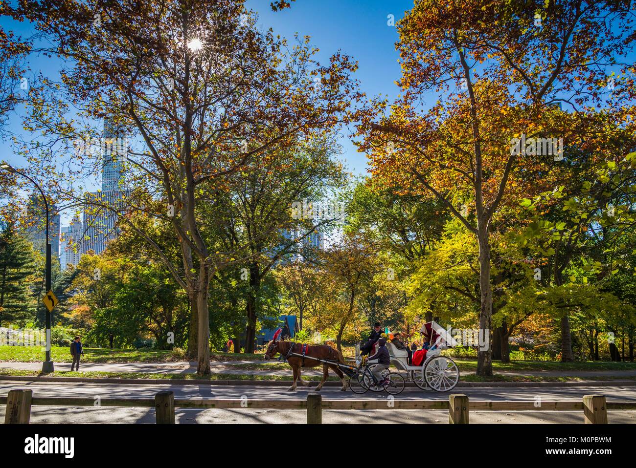 United States, New York City, New York City, Central Park, Herbst Stockfoto
