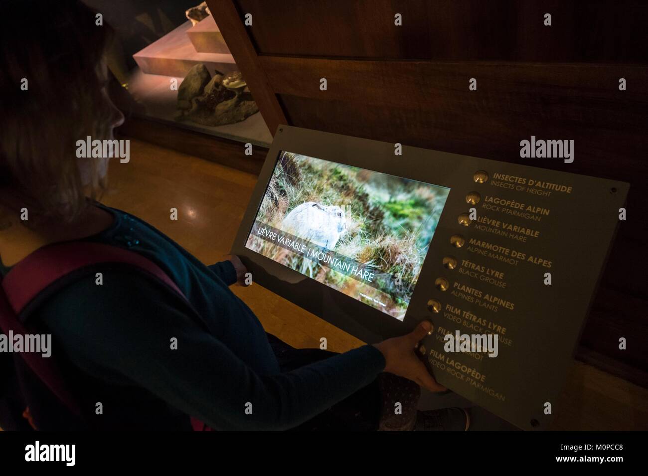 Frankreich, Isère Grenoble Museum, interaktive Multimedia Terminal Rundfunk einen Film über die variable Hase Stockfoto