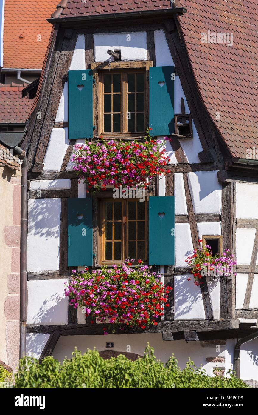 Frankreich, Haut Rhin, Route des Vins d'Alsace, Kaysersberg, Fachwerkhäusern Stockfoto