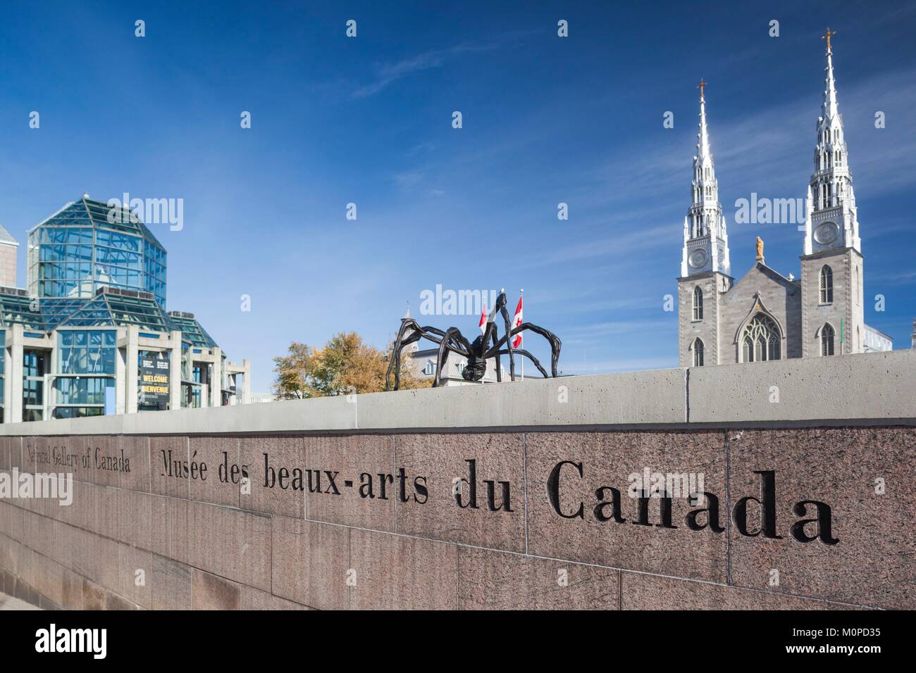 Kanada, Ontario, Ottawa, der Hauptstadt Kanadas, der National Gallery und der Basilika von Notre Dame mit Maman Skulptur von Louise Bourgeois Stockfoto