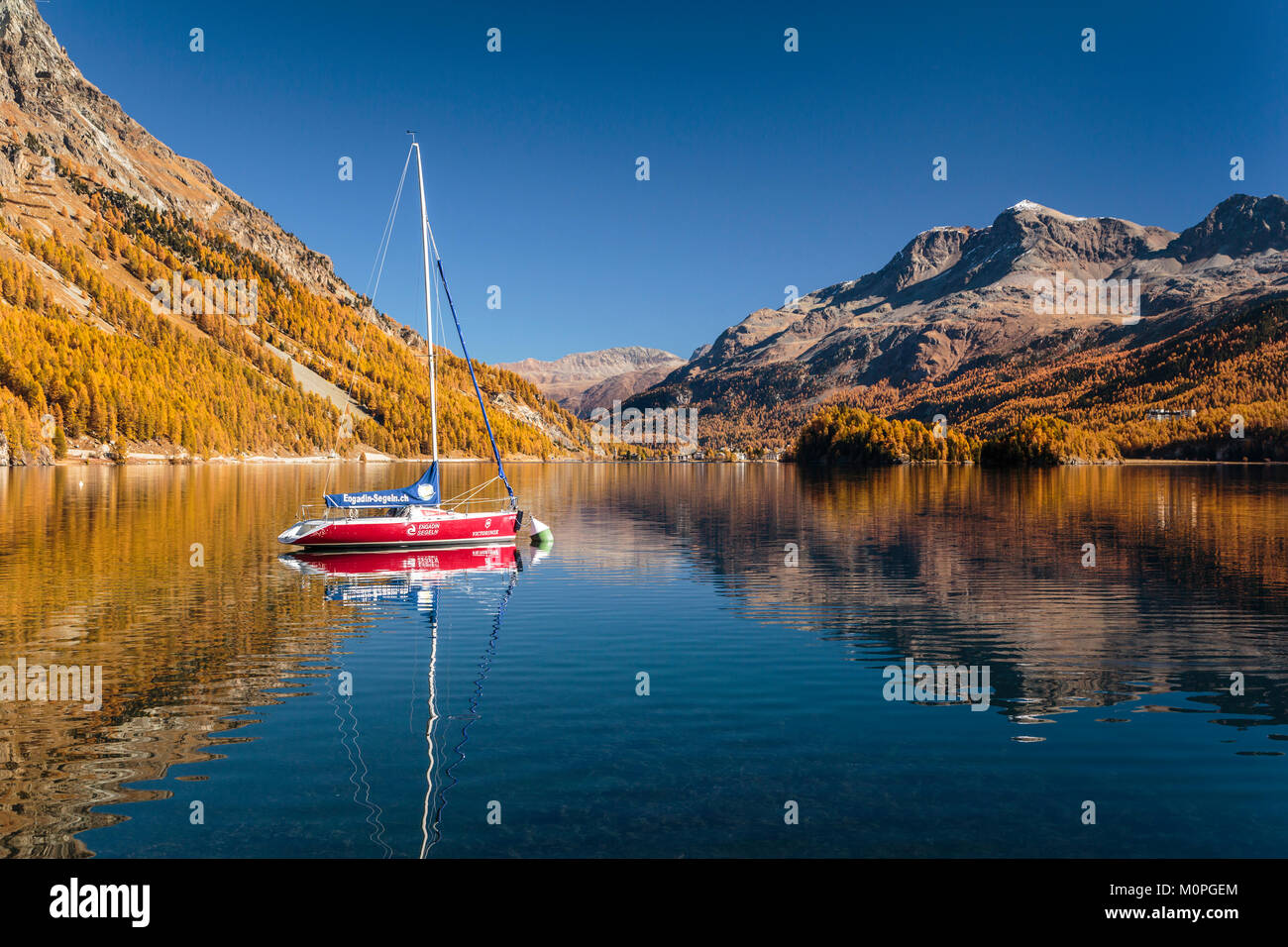 Herbst Laub Farbe in der Lärchen und ein Segelboot in See Sils im Engadin, Graubuden, Schweiz, Europa wider. Stockfoto