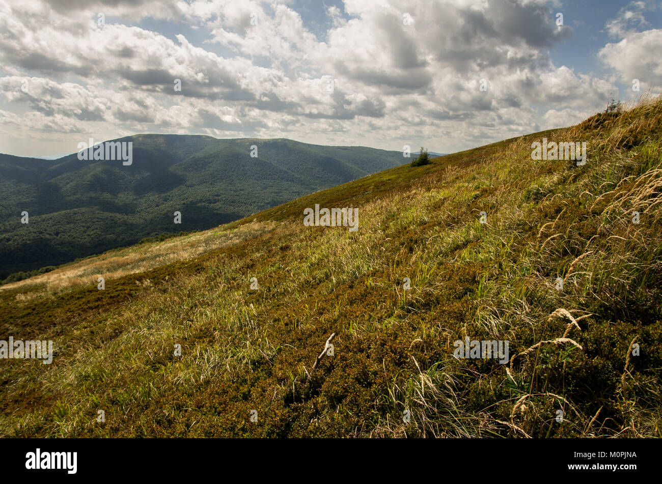 Sommer im Bieszczady-gebirge. Polen Stockfoto