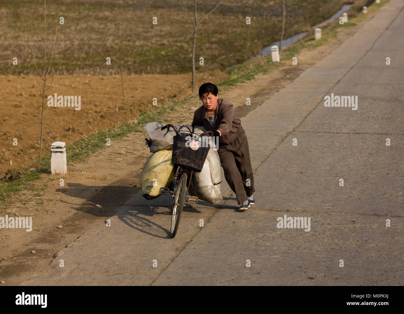 Nordkoreanische Frau drücken Fahrrad mit schweren Taschen in der Landschaft geladen, Süd-pyongan Provinz, Nampo, Nordkorea Stockfoto