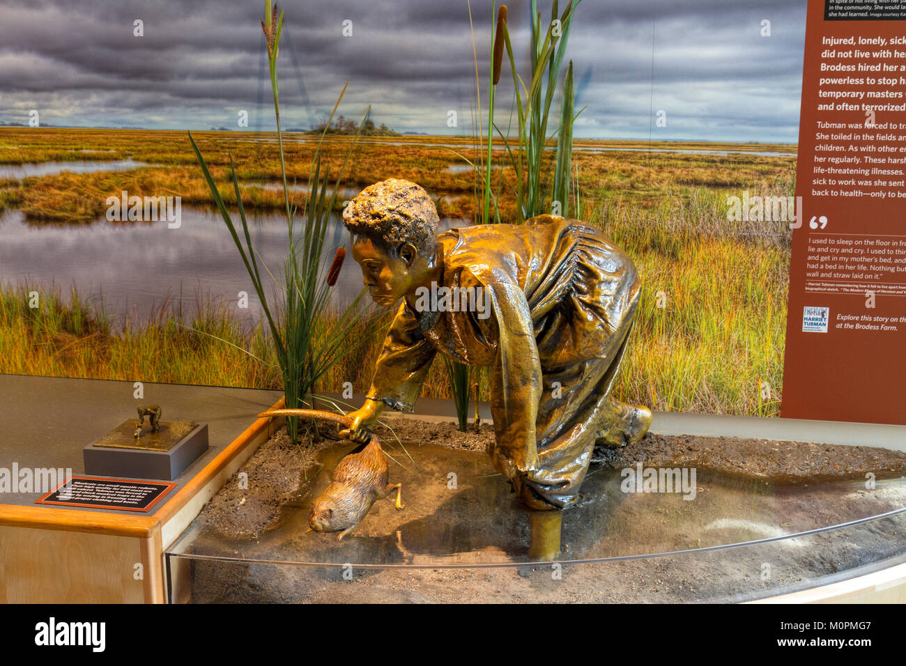 Anzeige von Harriet Tubman trapping Bisamratten, Harriet Tubman Underground Railroad Visitor Centre, Kirche Creek, Maryland, Vereinigte Staaten. Stockfoto