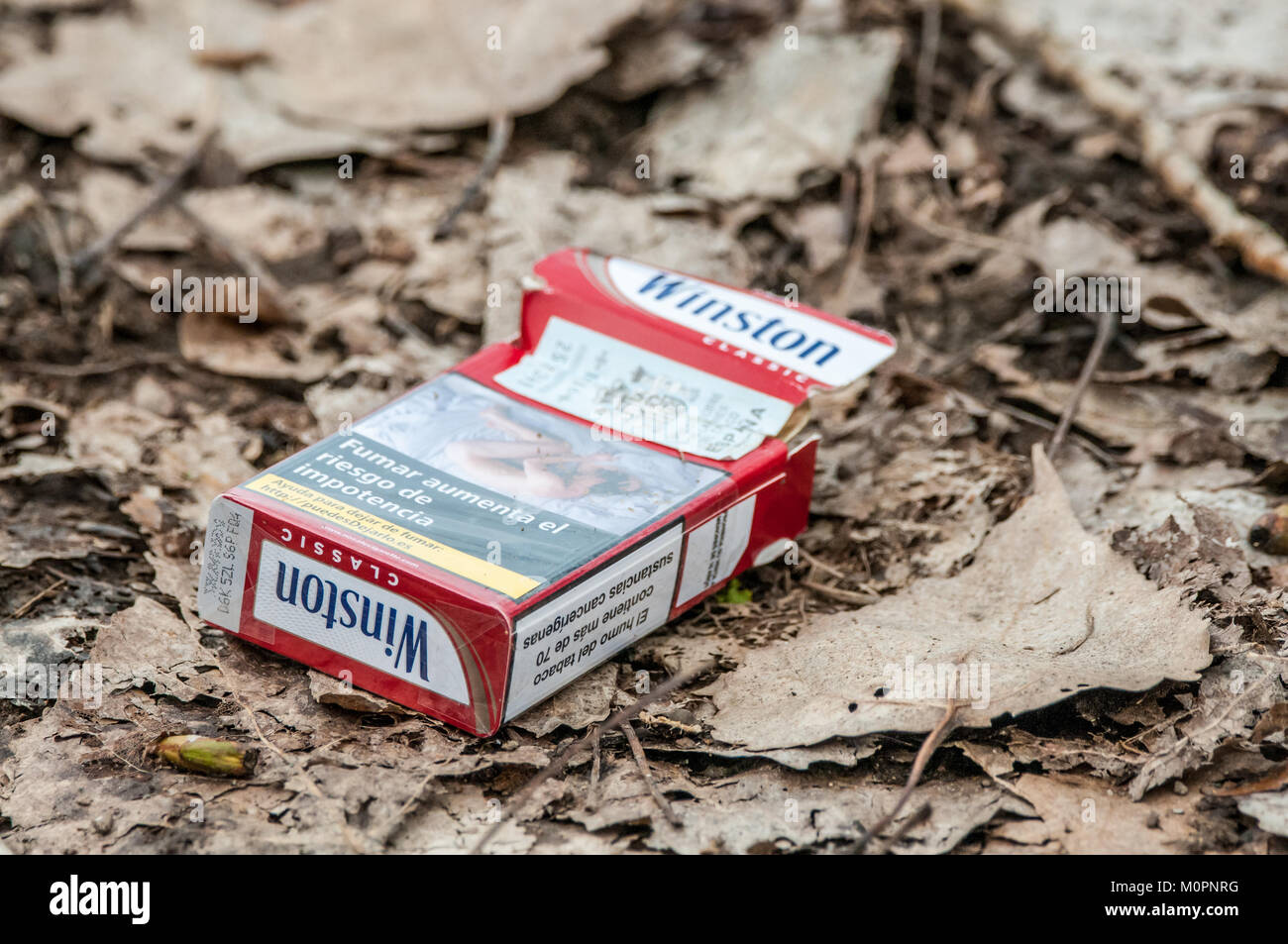 Winston Zigarettenschachtel mit Nachrichten von der Gefahr des Rauchens in Spanisch in den Wald geworfen Stockfoto
