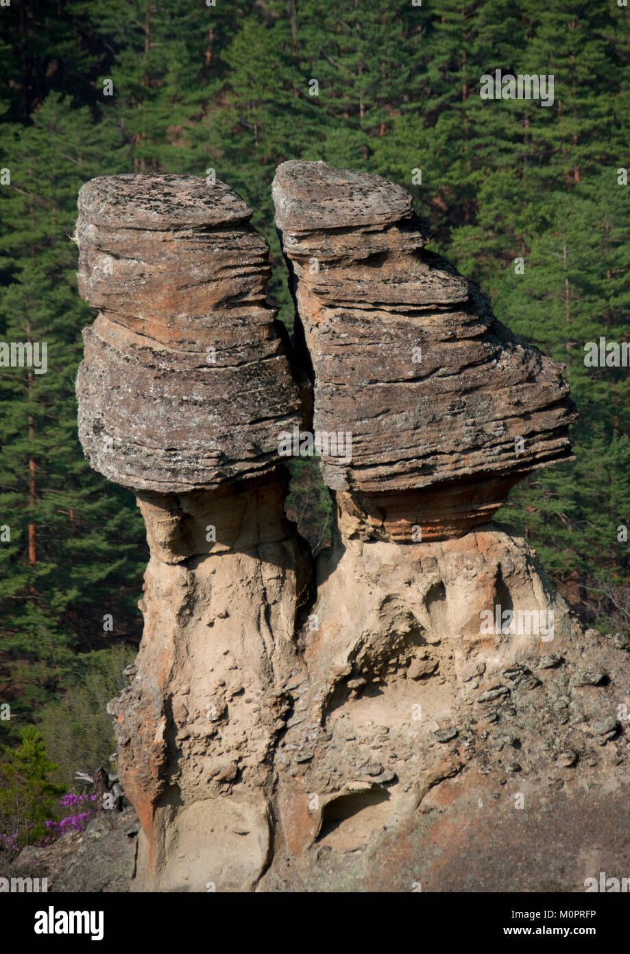 Phallische Felsformationen, nördlichen Provinzen Provinz, Chilbosan, Nordkorea Stockfoto