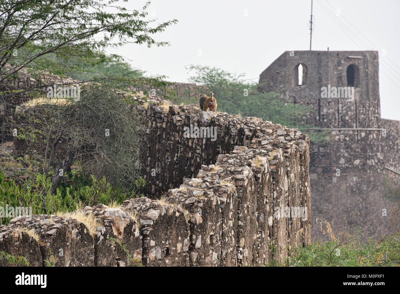 Die atmosphärischen ruiniert Taragarh Fort, Bundi, Rajasthan, Indien Stockfoto