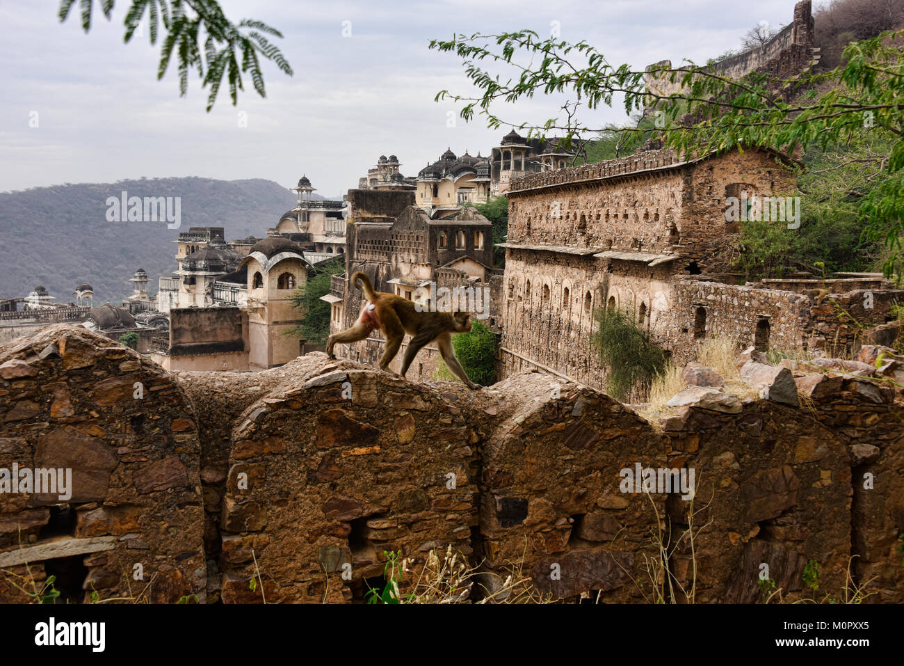 Die atmosphärischen ruiniert Bundi Palast und Taragarh Fort, Rajasthan, Indien Stockfoto