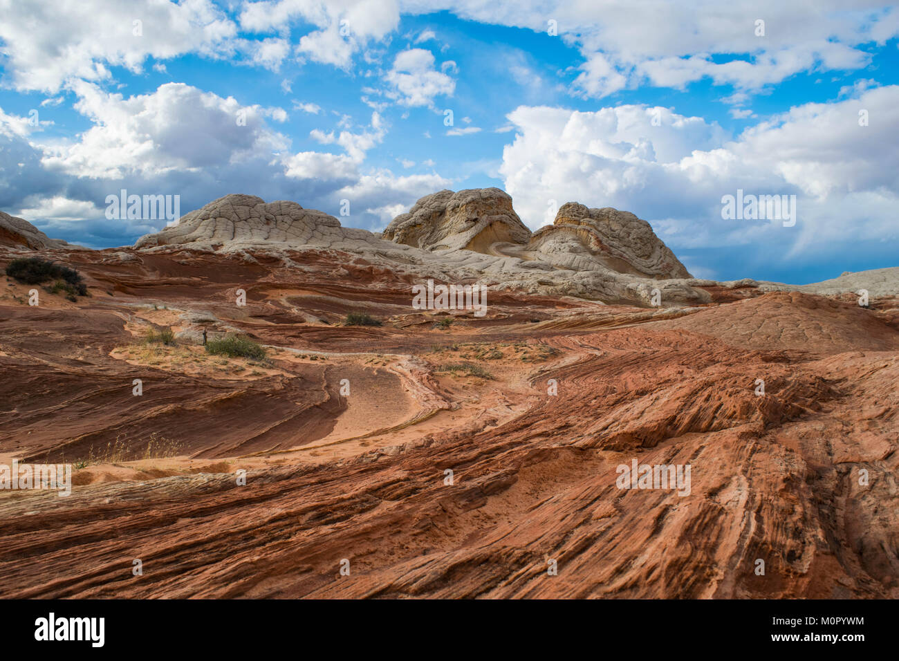 White Pocket Formationen in der Vermillion Cliffs National Monument entfernt Stockfoto