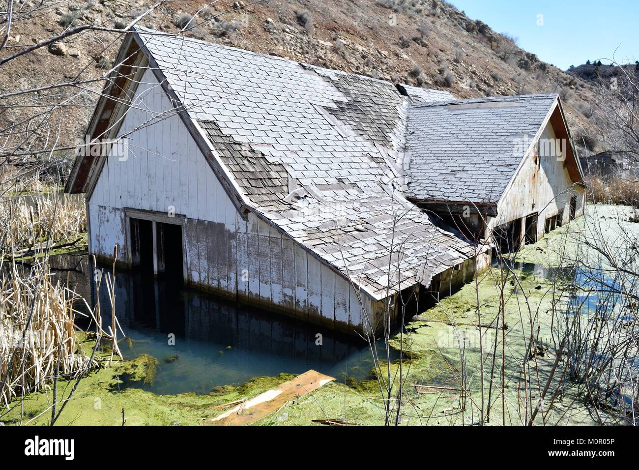 Thistle Utah überflutet Haus Stockfoto