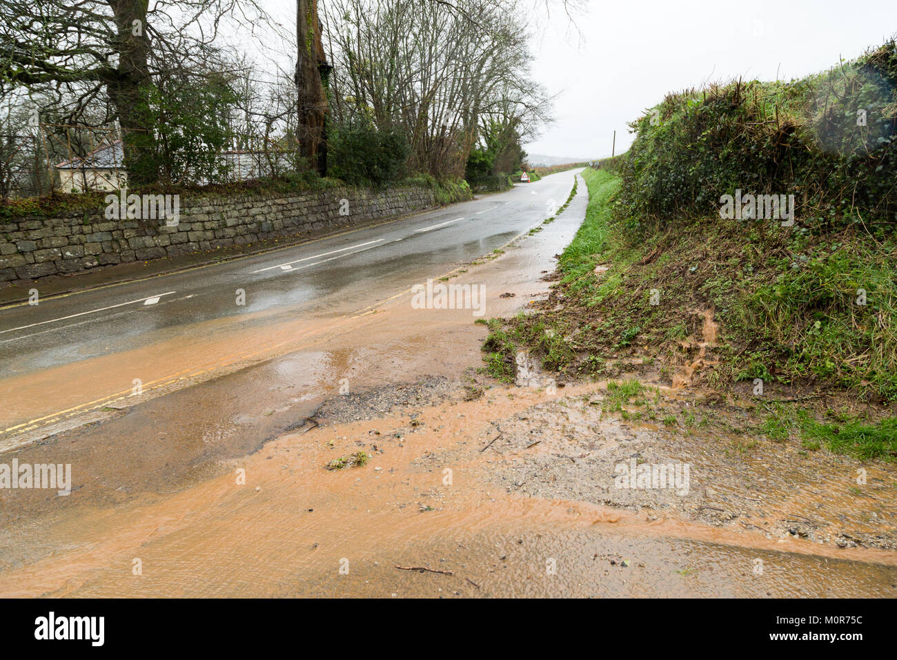 Cornwall, UK. 24 Jan, 2018. Schwere Regenfaelle haben beschränkte überschwemmung in Teilen von Cornwall verursacht. Die sintflutartigen Regenfälle läuft wie ein Fluss hinunter einen Cornish Road und nasser Witterung ist für den Rest der Woche prognostiziert. Credit: Jennifer Jordan/Alamy leben Nachrichten Stockfoto