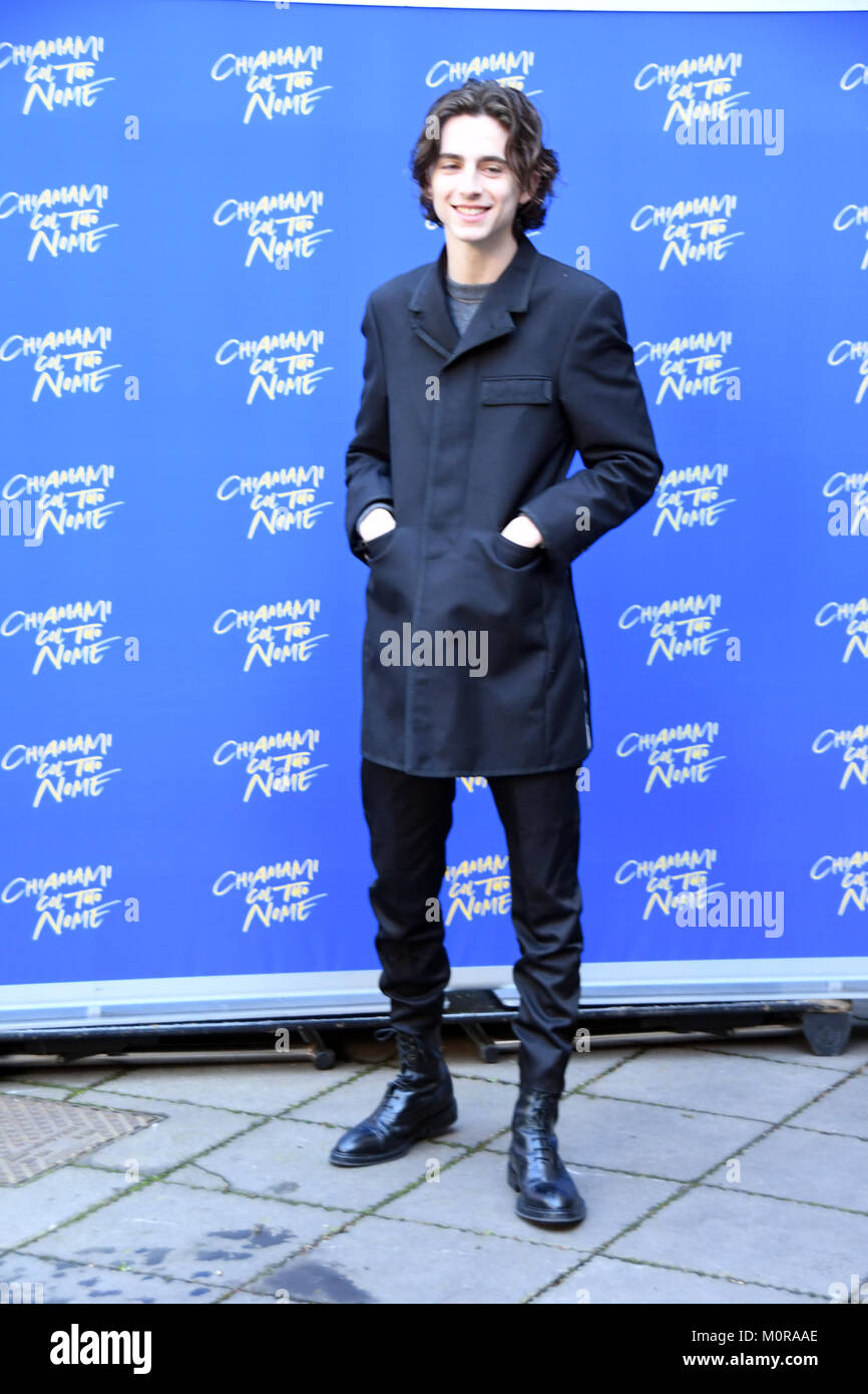 Rom, Italien, 24. Januar 2018 Hotel de Russie - Photocall film Präsentation Chiamami Col Tuo Nome, Timothée Chalamet in der Rolle von Elio Credit: Giuseppe Andidero/Alamy leben Nachrichten Stockfoto