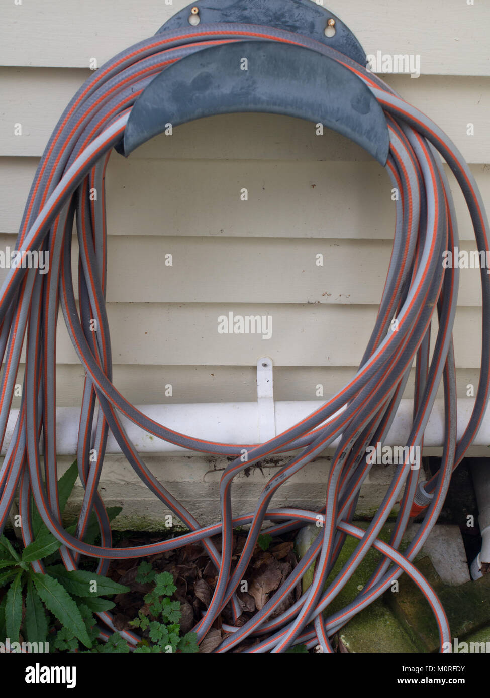Gartenschlauch Stockfoto