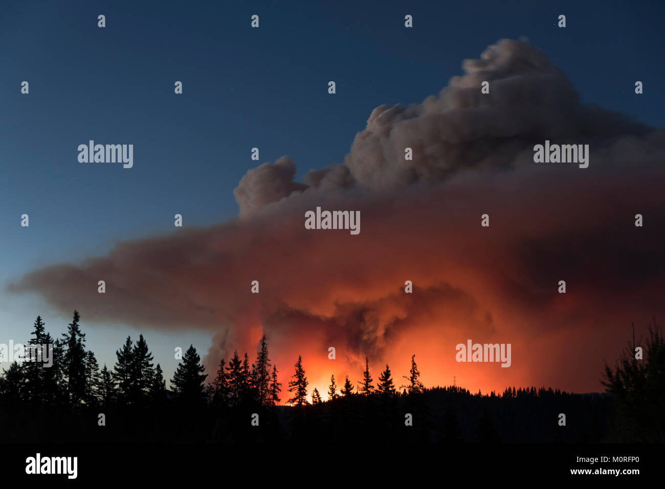 Ein Bild der Jolly Berg Feuer in den Kaskaden Berge in der Nähe von Cle Elum, Washington, USA, am 1. September 2017. Das Feuer war am 11. August begonnen Stockfoto