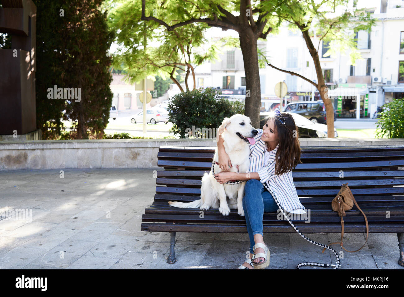 Zärtlichkeit Umarmung zwischen einem goldenen Hund und seinen Besitzer sitzen auf einer Bank gegen Sonnenlicht. Stockfoto