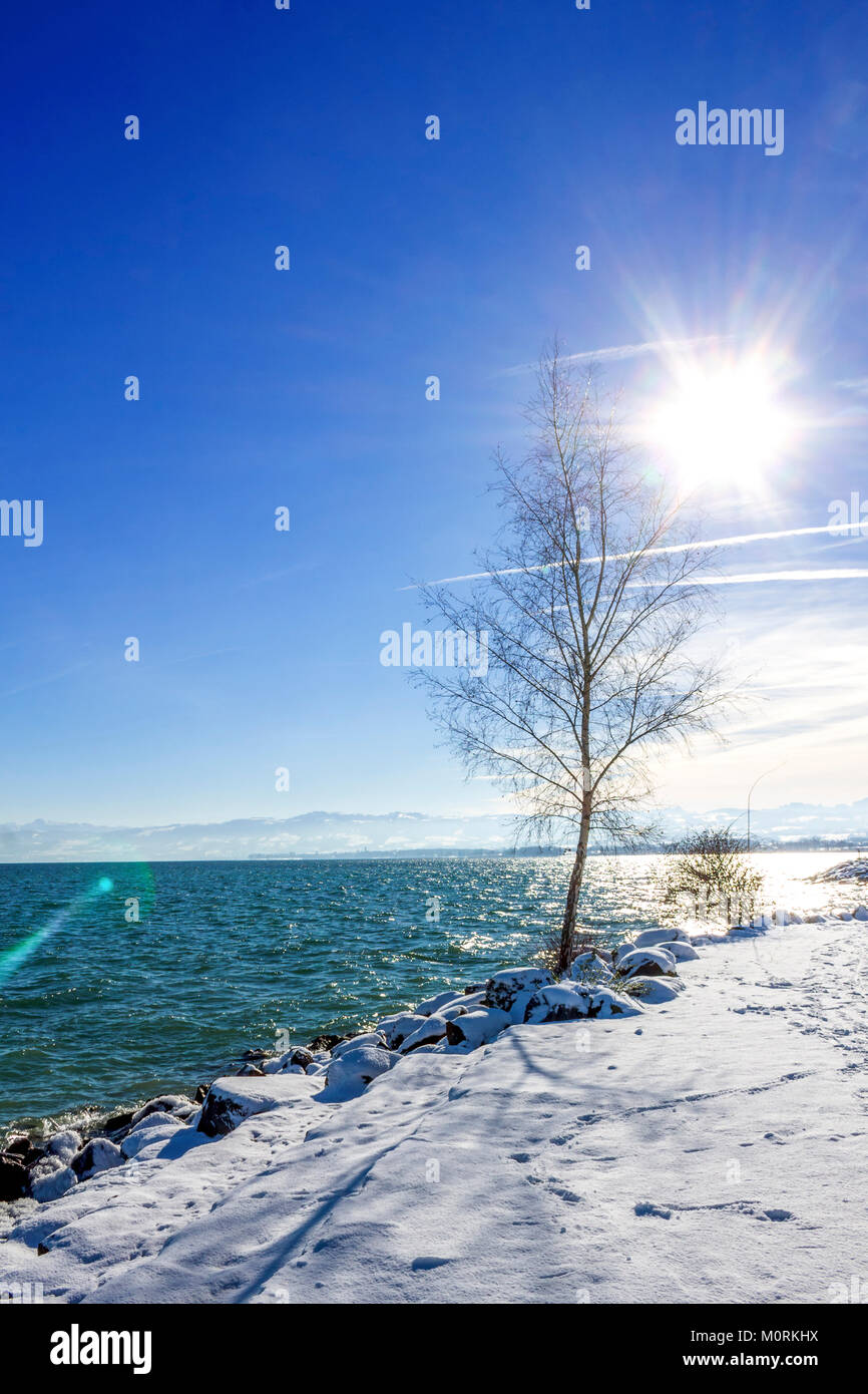 Schweiz, Thurgau, Bodensee, Romanshorn im Winter Stockfoto