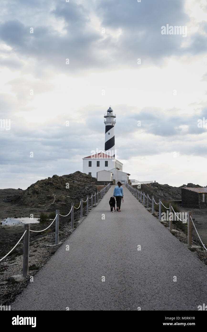 Berner Sennenhund zusammen mit seinem Besitzer im Freien rund um den Leuchtturm. Stockfoto