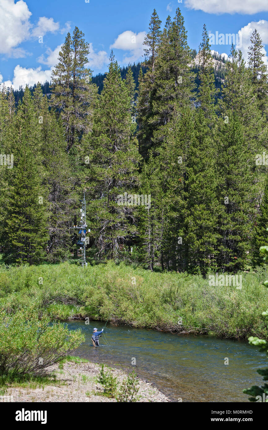 Angeln in der Mitte der Gabel des San Joaquin River, Devils Postpile National Monument, Inyo National Forest, Madera County, Kalifornien, USA Fliegen Stockfoto