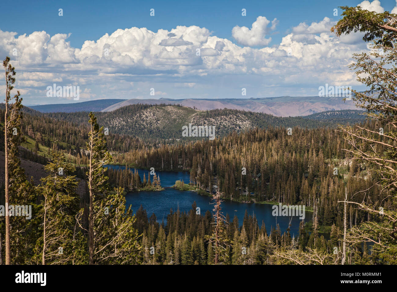 Mammoth Mountain Seen, Inyo National Forest, Kalifornien, USA Stockfoto