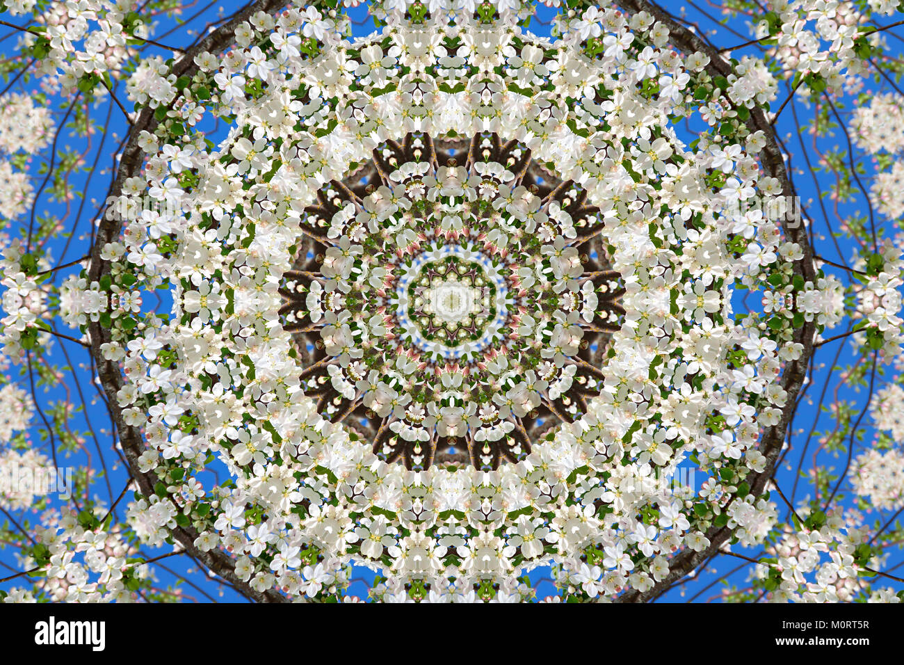 Zusammenfassung Hintergrund von floralen Muster von einem Kaleidoskop. weiß blau grün Hintergrund fractal Mandala. Abstrakte kaleidoskopische Arabesque. Geometrische oder Stockfoto