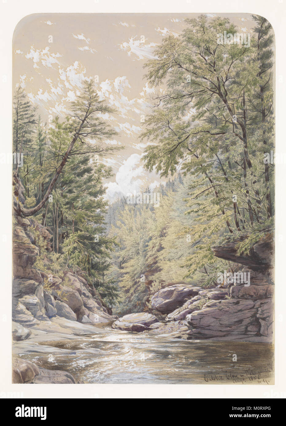 Dieses Foto von Catskill Clove in Palingsville, das für die MET-Kollektion aufgenommen wurde, zeigt die natürliche Schönheit der Catskill Mountains und ihre legendären Landschaftsmerkmale. Stockfoto