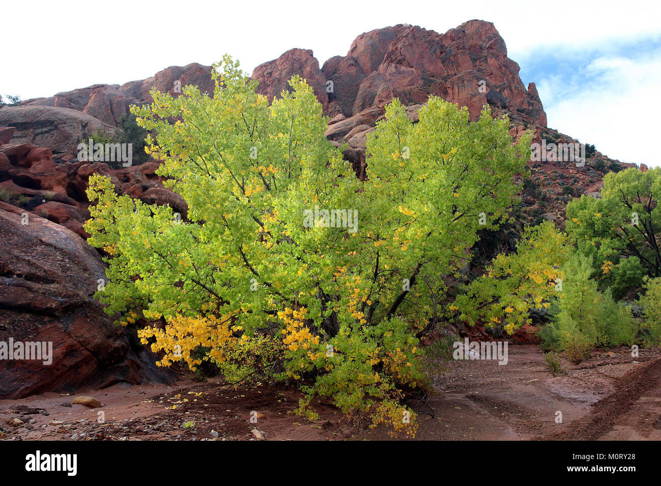 CAPITOL REEF NATIONAL PARK, GARFIELD CO, Utah - 2016-09-29-durch das Riff am östlichen Ende Burr Trail-03 (29819612123) Stockfoto