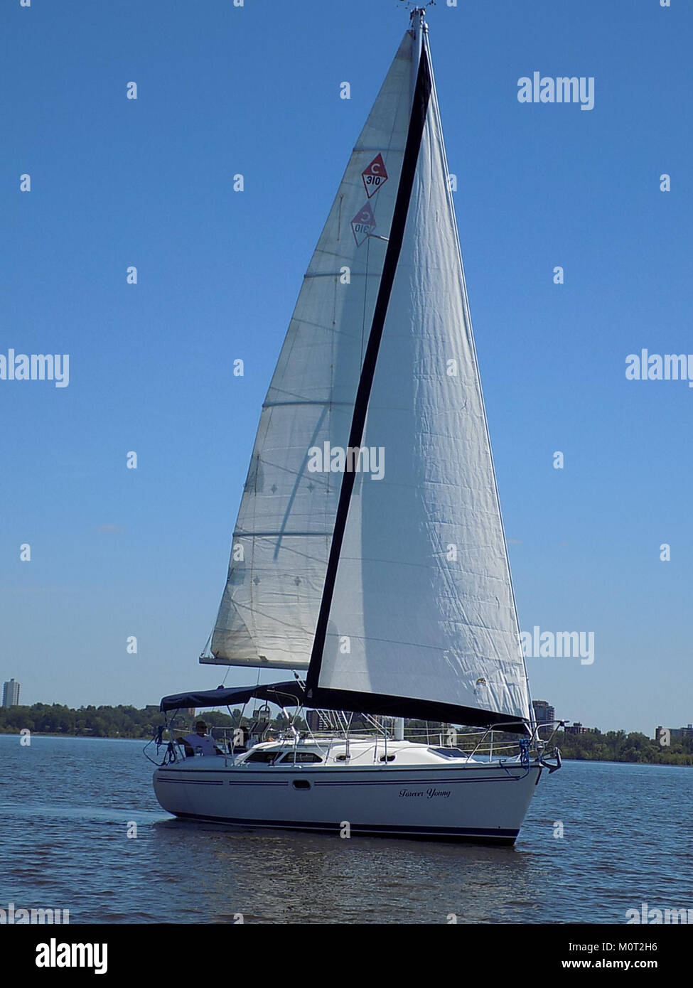 Eine Fotografie des Segelbootes Catalina 310 mit dem Namen „Forever Young“, aufgenommen am 26. Juli, zeigt das Design und die Merkmale dieses beliebten Segelbootmodells. Stockfoto