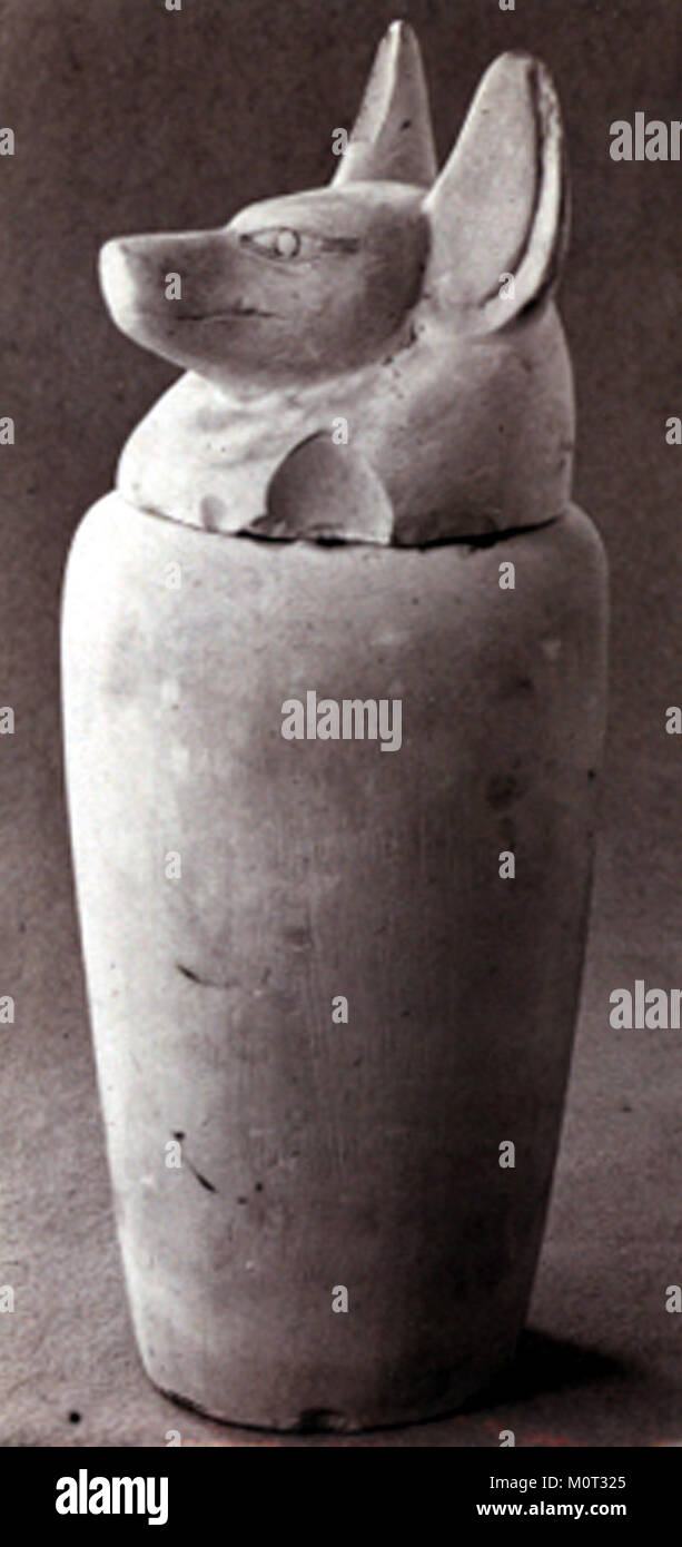 Dieses Kanopenglas mit einem schakalförmigen Deckel wurde bei altägyptischen Begräbungspraktiken verwendet. Das Gefäß war für die Aufnahme der inneren Organe der Verstorbenen konzipiert und war ein wichtiger Bestandteil der Mumifizierungsriten. Stockfoto